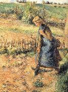 Camille Pissarro The collection of hay farmer Spain oil painting artist